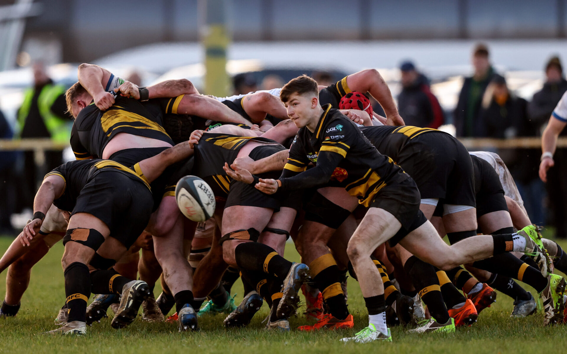 Munster Domestic Rugby | Upcoming Fixtures