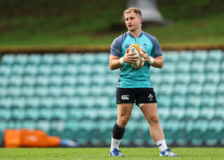 Three Munster Players Named In Ireland Squad For Wallabies Test