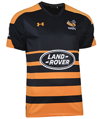 Wasps Home