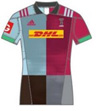 Harlequins Home