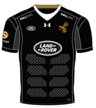 Wasps Home