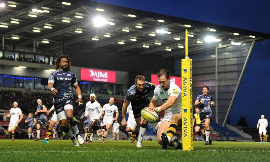 Wasps try