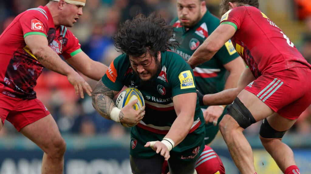 Logovi'i Mulipola