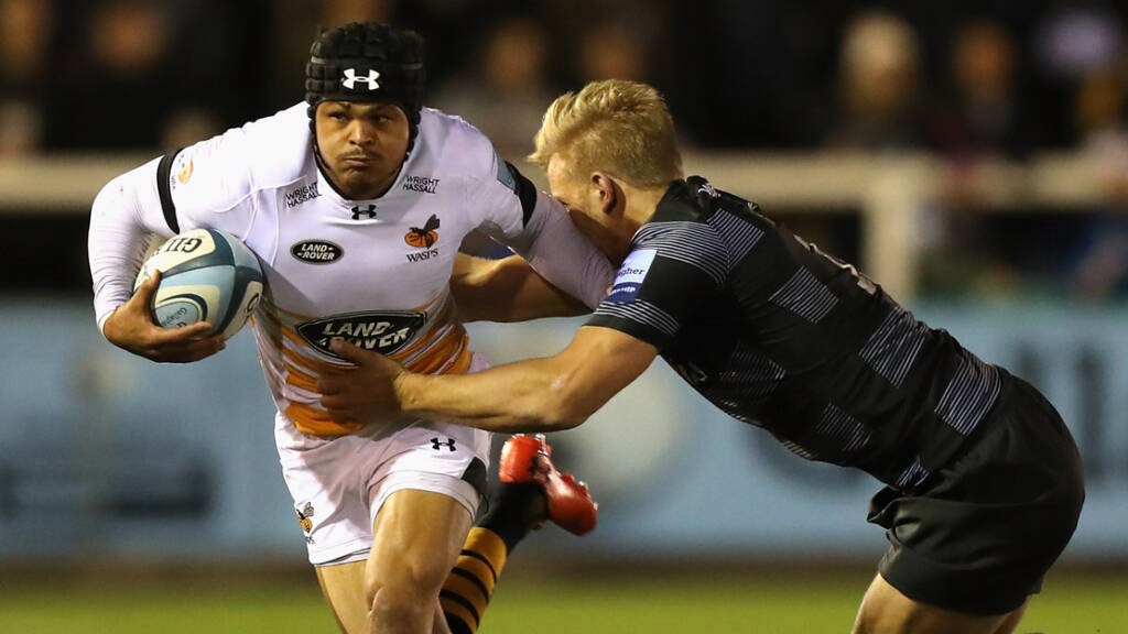 preview image for Round 16 Preview: Wasps v Newcastle Falcons