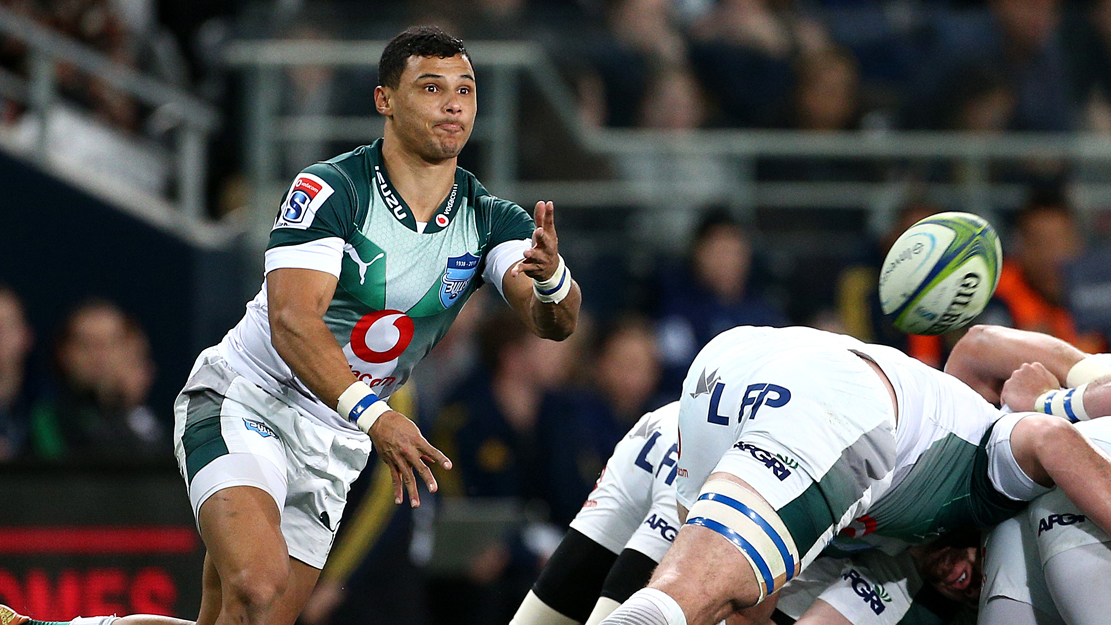 preview image for Sale Sharks sign Springbok scrum-half Embrose Papier on a short-term deal