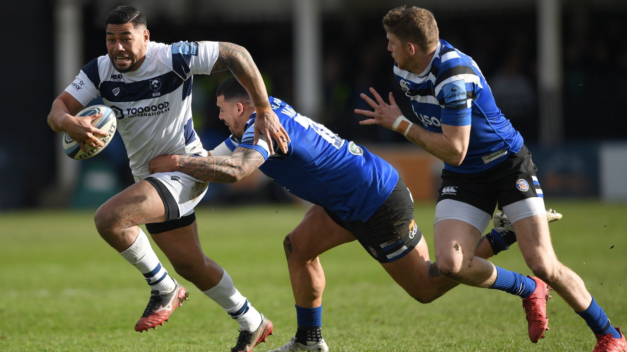 Premiership Rugby Category Bristol Bears
