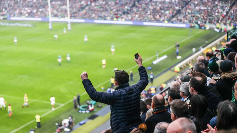 A fan celebrates A fan celebrates