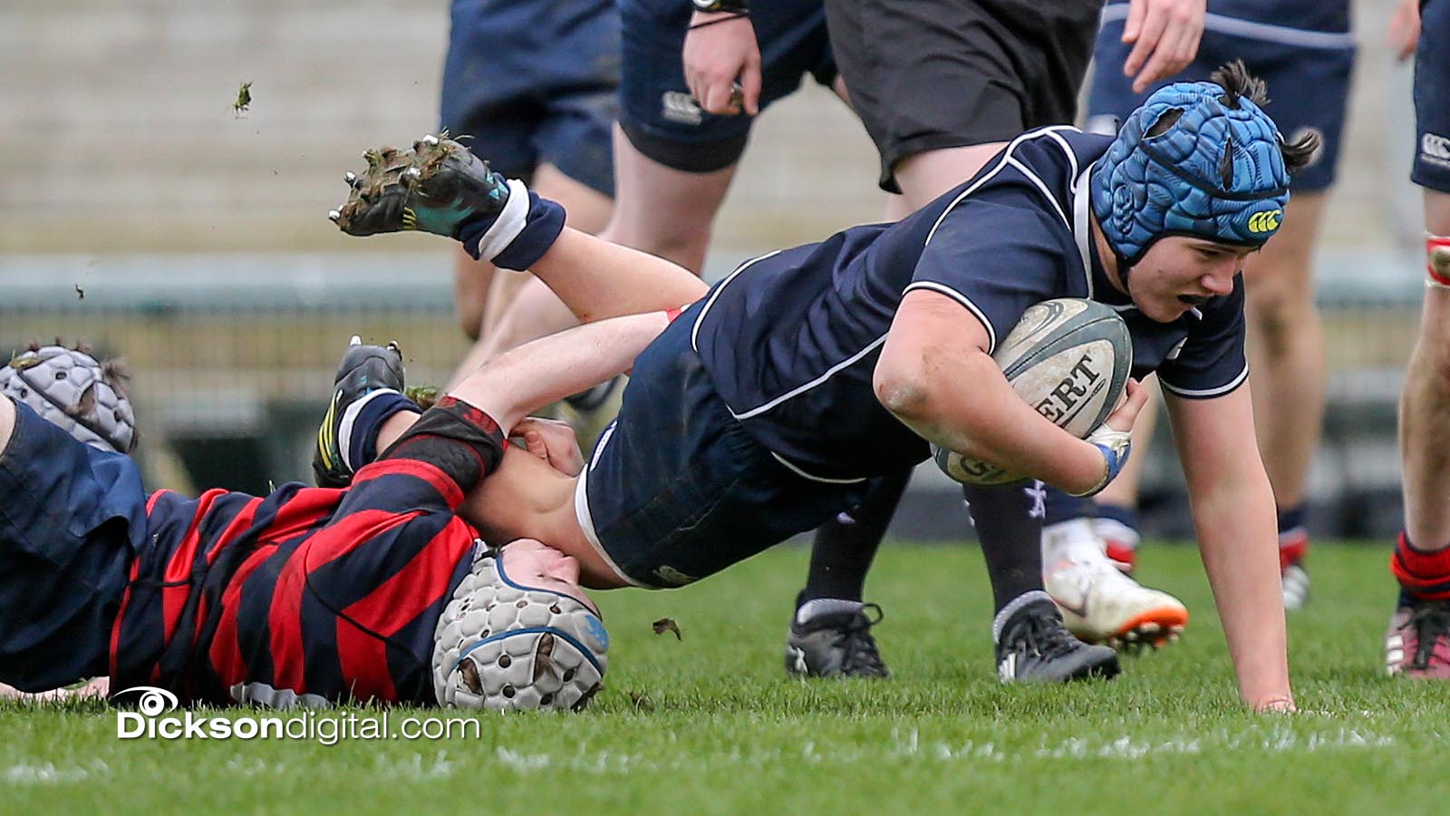 Ulster Rugby Methody claim Medallion Shield