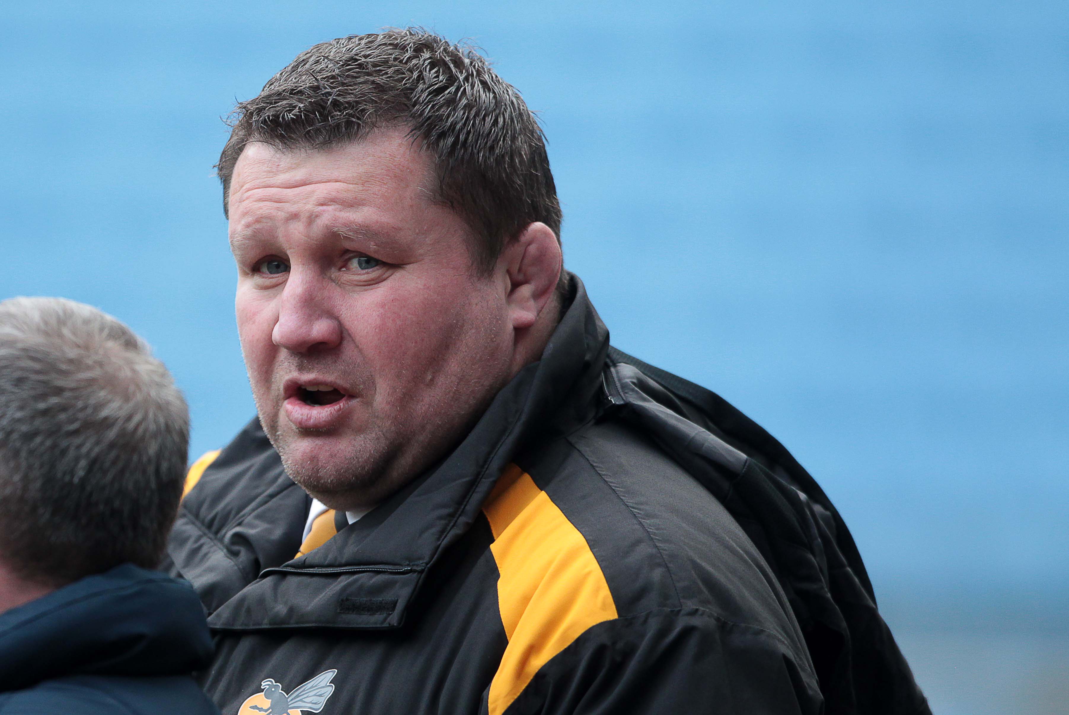 Welsh Rugby Union Wales & Regions Dai Young back at Cardiff Blues