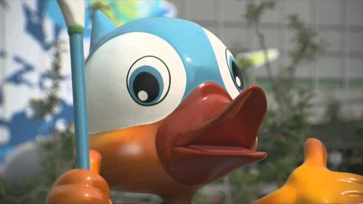 Athlete montage at the 2013 World Rowing Championships in Chungju, Korea