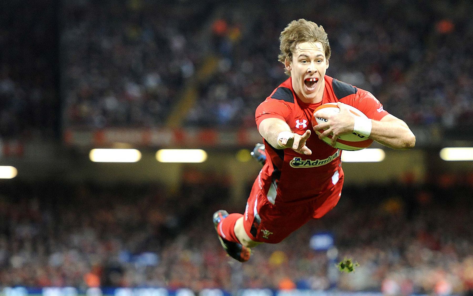 Survey confirms international rugby grips the nation