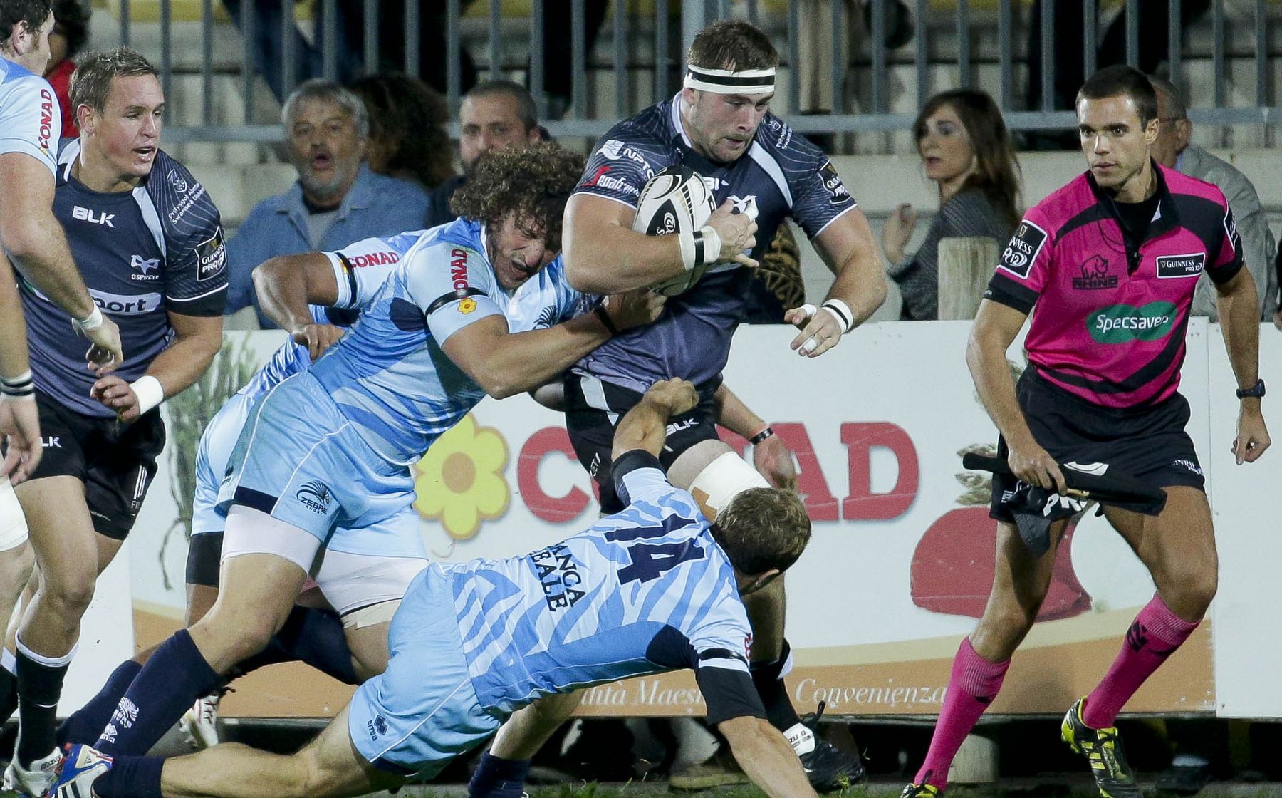 Allen heads West to Scarlets