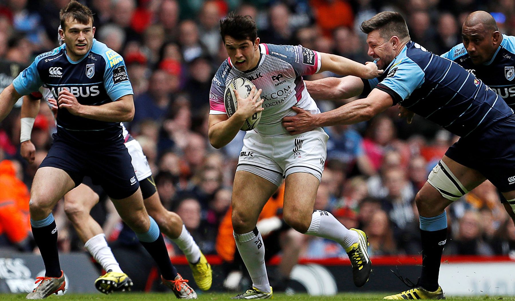 Ospreys confident about future