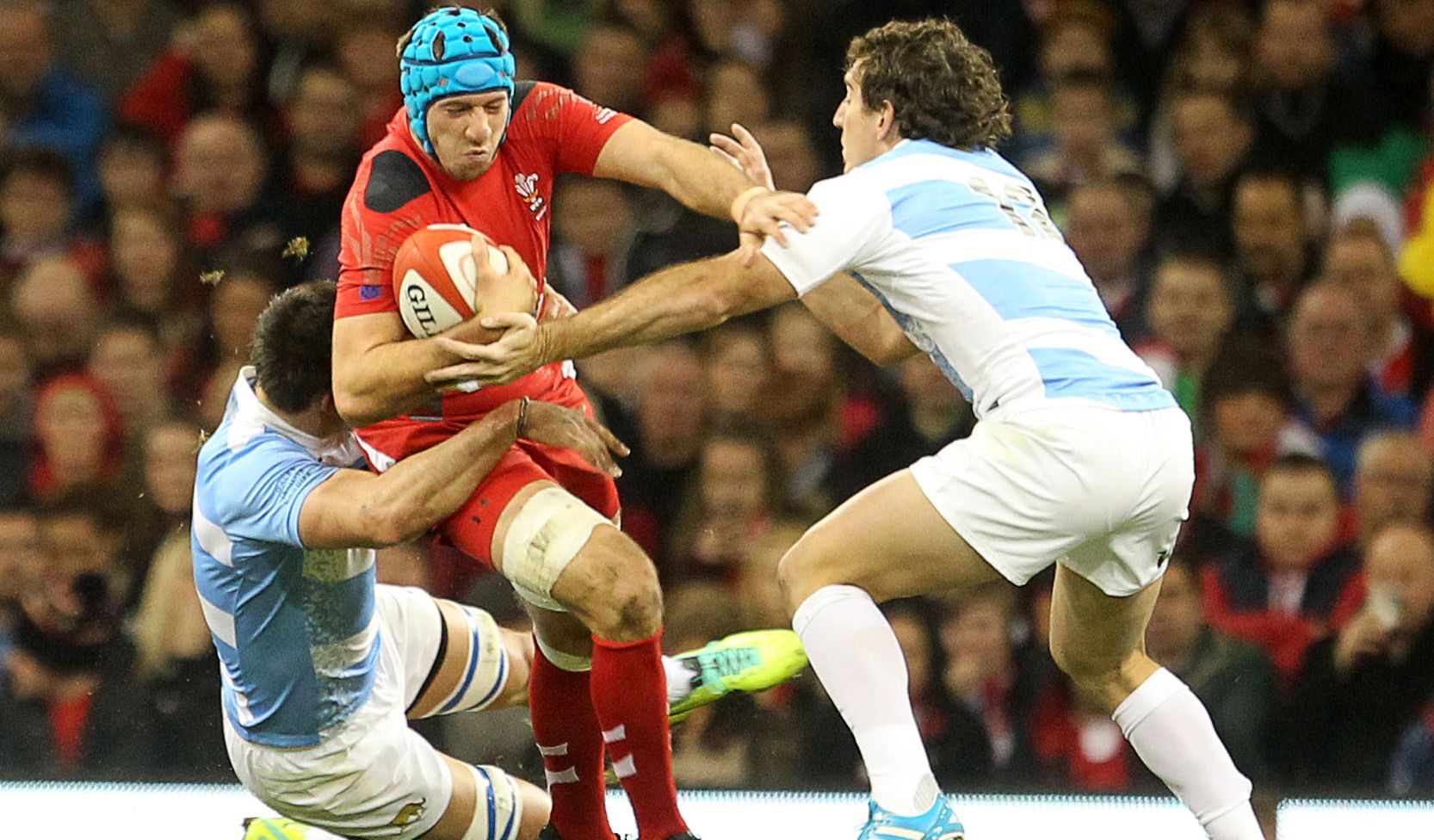 LIVE BLOG: Wales v Argentina